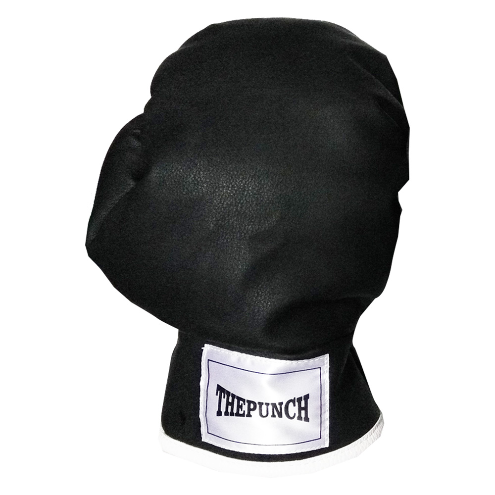 Boxhanschuh 10-Z0030_1