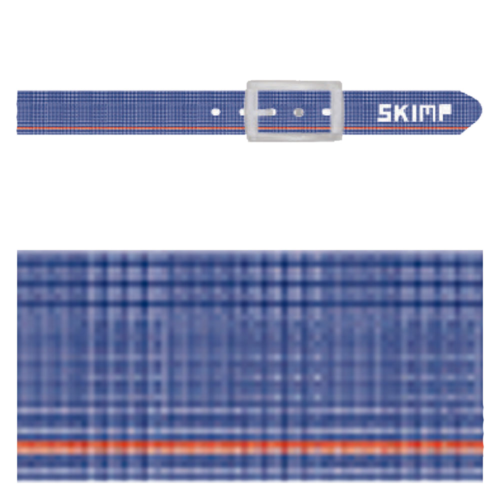 Belt Prince de Galles 37-A0023_5