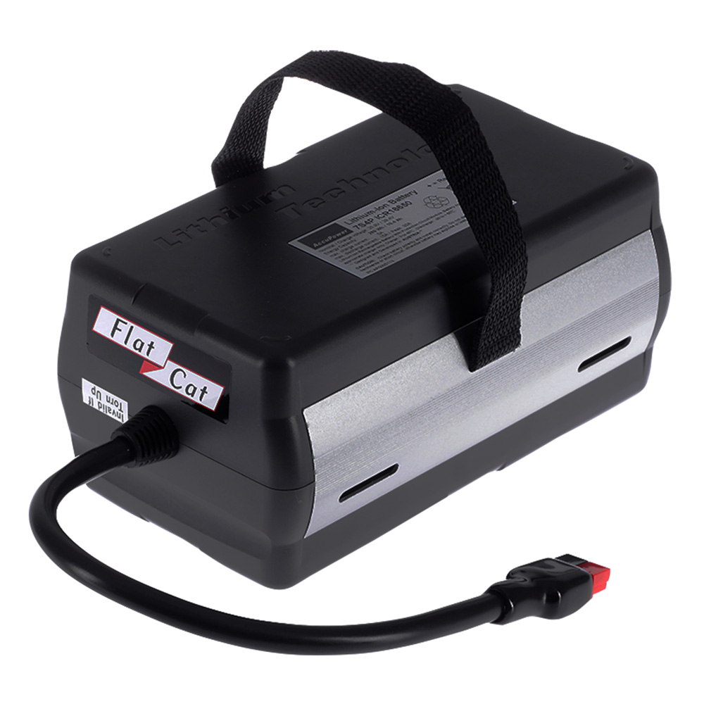 Lithium Fe Battery "Caddy SP20-A0002-X