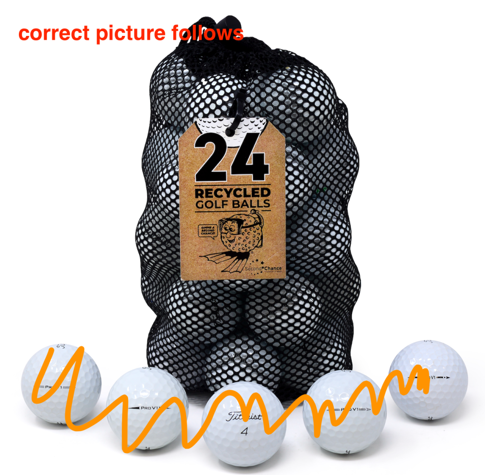 Bridgestone e6 24 Balls Grade B Q09-B0040