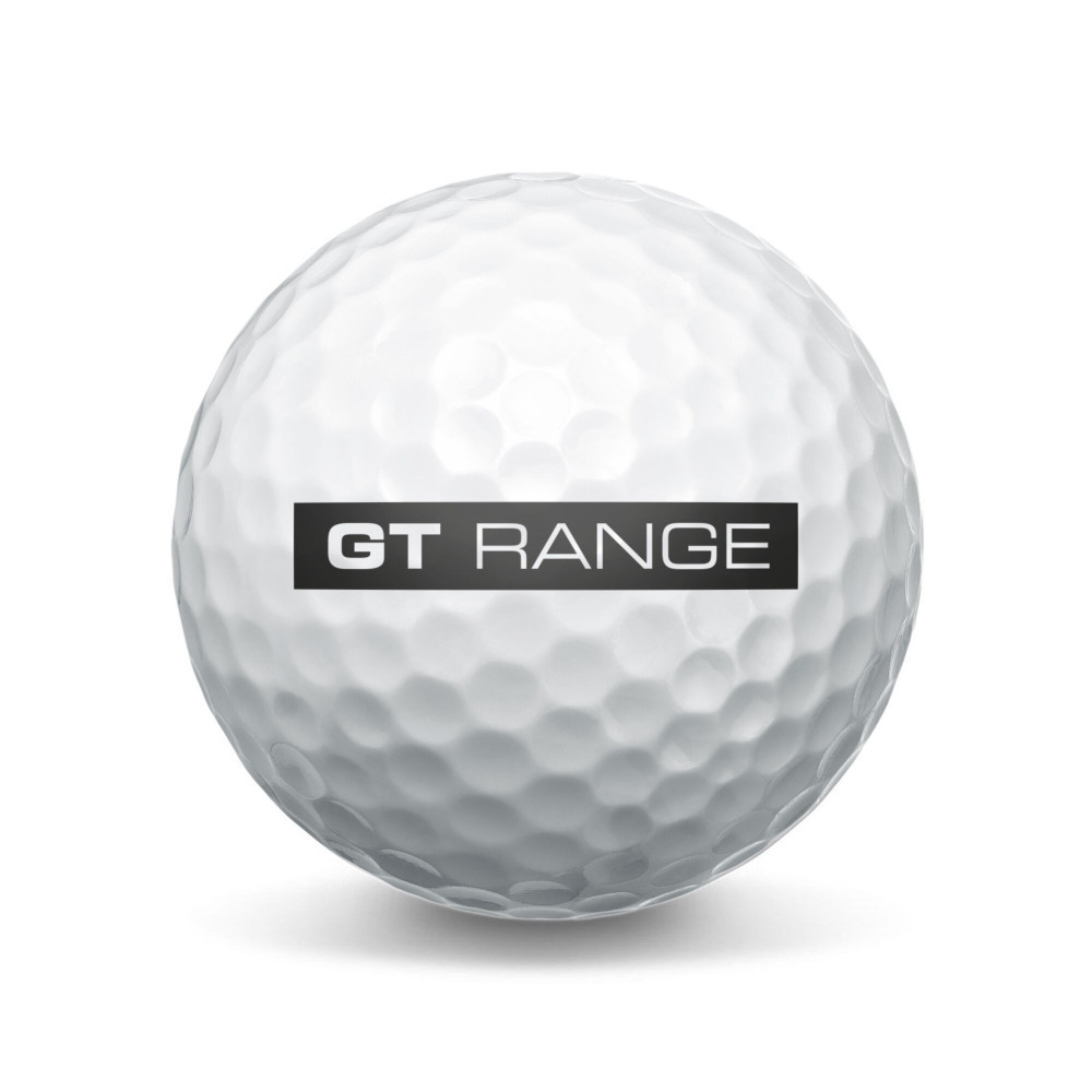 Range Balls GT 2 piece white 300 Bälle Q23-B0300